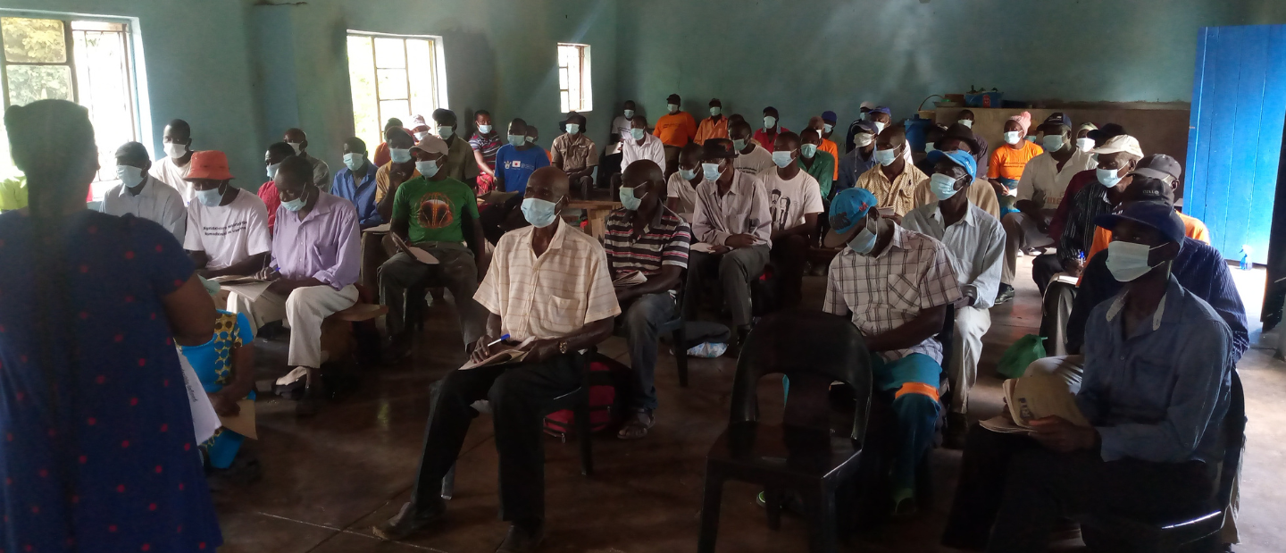 Supporting local leaders in Zimbabwe Peace Direct